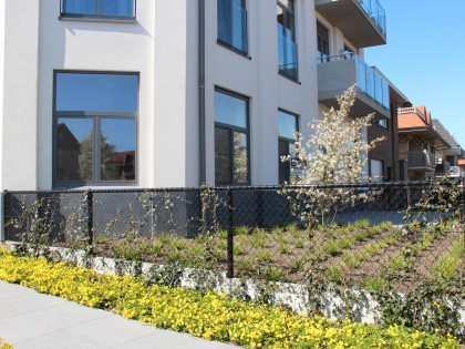 Aanleg tuin