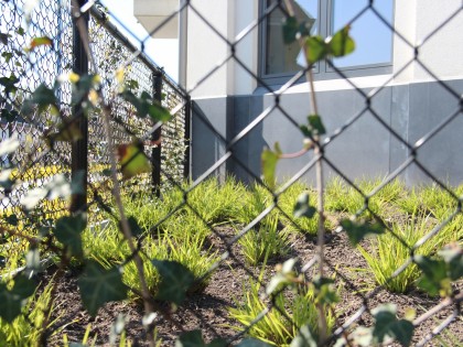 Aanleg tuin
