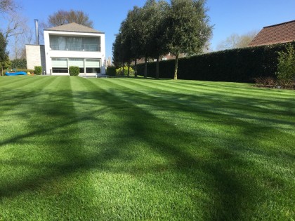 Strakke tuin met zwemvijver en verharding
