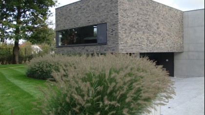 Moderne zuiderse tuin met strak karakter