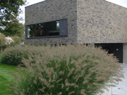 Moderne zuiderse tuin met strak karakter