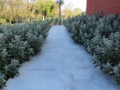 Strake en pure tuin