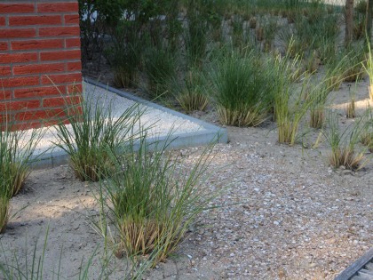 Strake en pure tuin