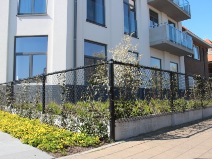 Strakke gebouwomgeving met parkeergelegenheid 