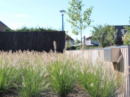 Strakke tuin met natuurlijke grassen in combinatie met moderne afsluiting