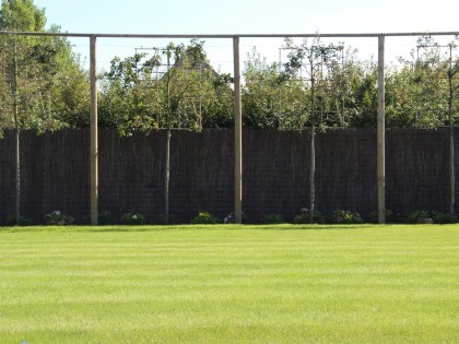Strakke tuin met natuurlijke grassen in combinatie met moderne afsluiting